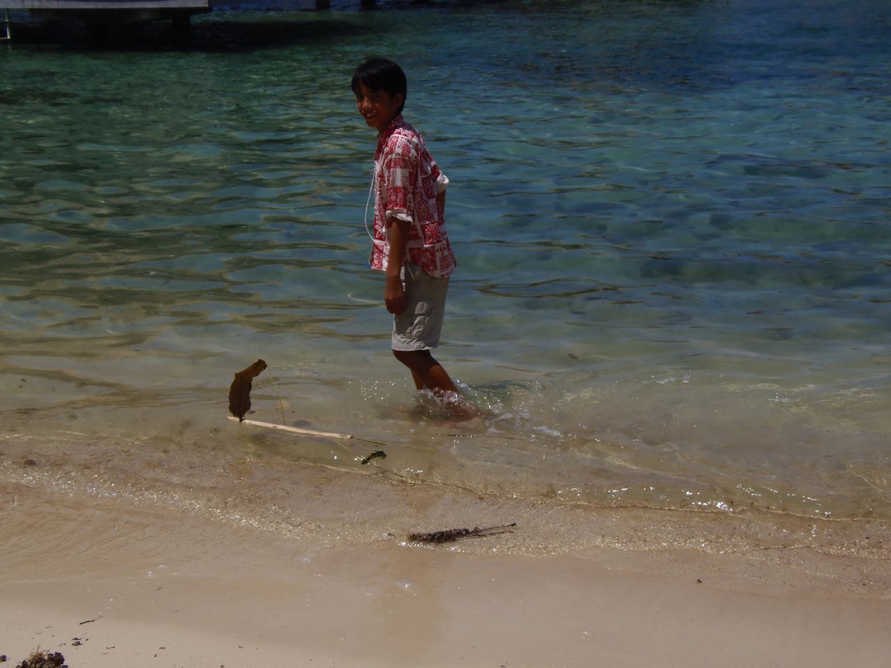 Matari’i i ni’a i Mo’orea